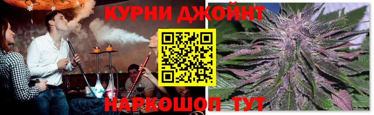 Белебей  Конопля White Widow  Вход с VPN  Канабис планчик  Марихуана сатива  Шишки марихуана конопля 